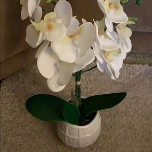 Meet your Posher, Pamela